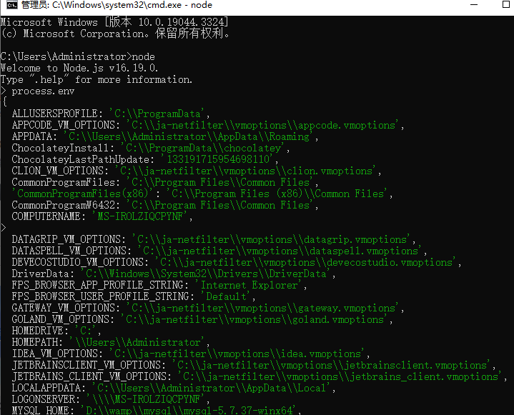 process.env.png process.env.png